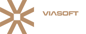 Prêmio Viasoft Profissionais do Ano